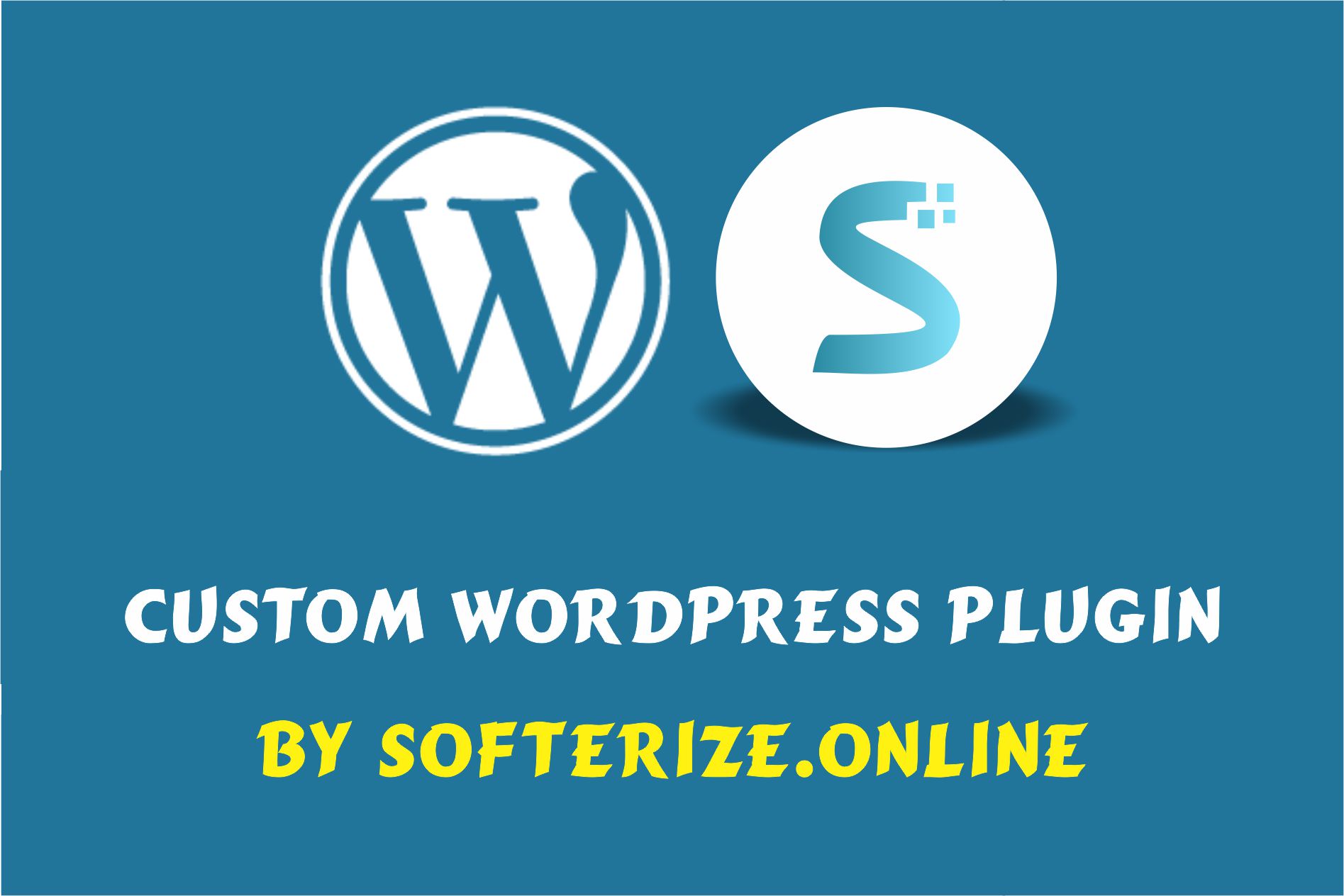 Custom Wordpress plugin Online Softerize in Pakistan Affordable pricing